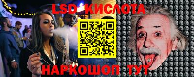 скорость Новозыбков
