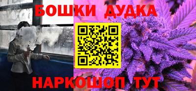 индика Обь