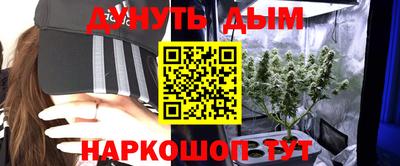 гидра Новокубанск