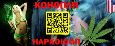 индика Обь