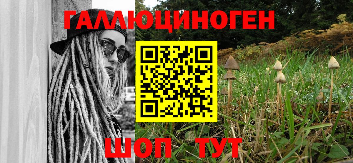 Усинск  даркнет сайт  Вход с VPN  Псилоцибиновые грибы GOLDEN TEACHER 